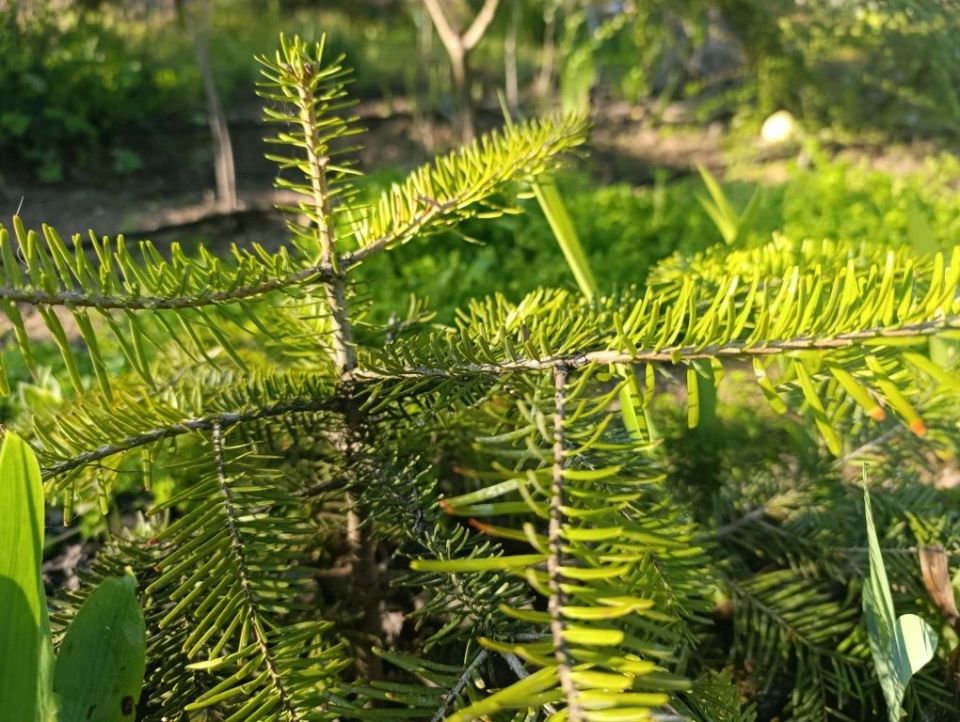 ������ ����, ������ � ����� ����������� ������!