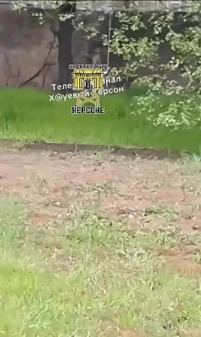 ���� ������� ����� � ����� �����������, � �������� ��������