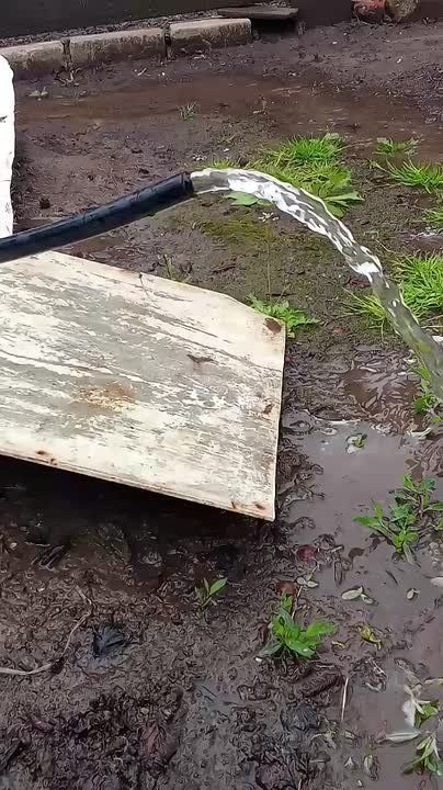 � ������������ ���� �������� ������������� ���������������� �������������