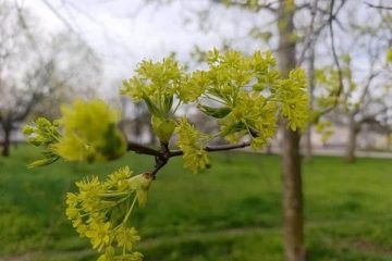 ������������ ������ ����� ������: ����� ������ ����� � ���������� ������� 22 ������ 2026 ����