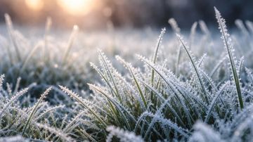 � ���������� ������� �������� ������ �������������� ��-�� ����������