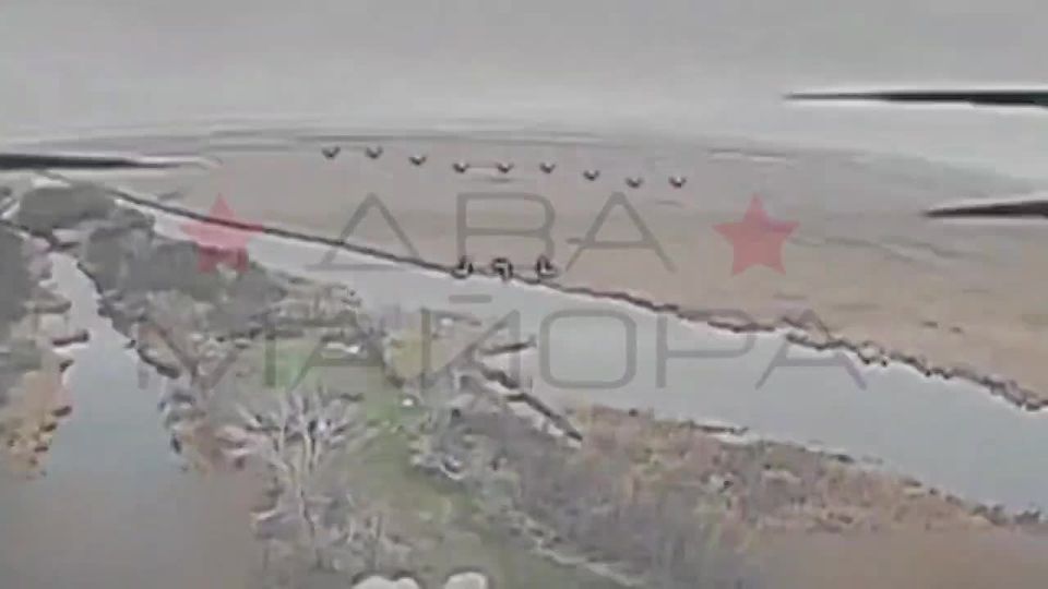 ��� ������: ���������� �����������. ������ ���������� ����� �������� ��� ����� 80-� ����������� �������