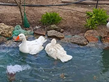 � ������ �����, ������! � ������� �������� �����!