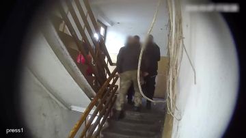 ���� �� �������: �������. ���������� ��������� � ������� ���, ������������� ����������, ��������� ���� � �������� �������