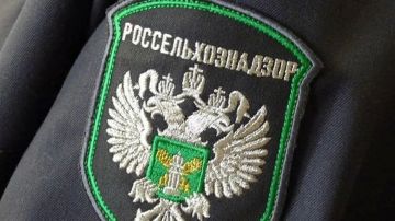 � ���������� ������� ������ ��� �������������� �����