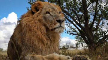 ���� ���������� ��� ��������� ������� ���� ����� ��������