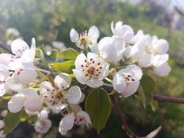 ������ ����, ������ � ����� ����������� ������!