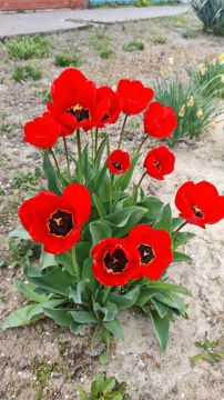 ���� �������� ������. � ������ ����� ������� ������ ��� ������ �������� ����� ������ �������������