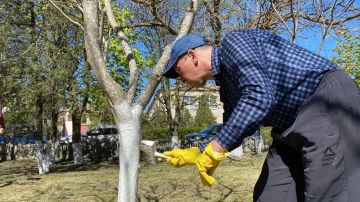 �������� ������������� � �������������� ���������� � ��� ������� ������ � ������ ������� � �������������� ������