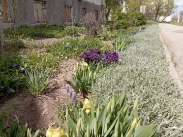 ������ ����, ������ ���������� ������!