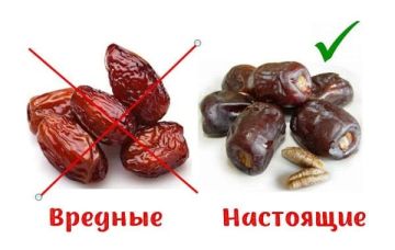 ��� ���� �������� ���������, ��� �� �����������!