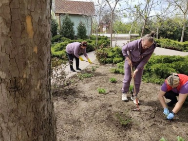 �������� ������������: � ������������ ������ ������������� ���������