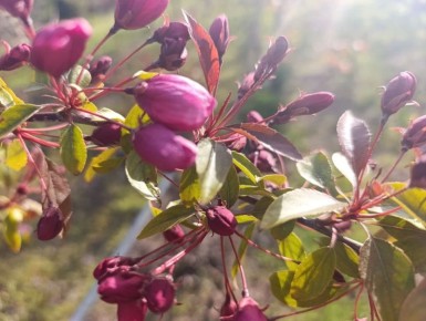 ������ ����, ������ � ����� ����������� ������!