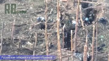 ��� ��������� ���������� � �������� ���� � �������� ��� ������