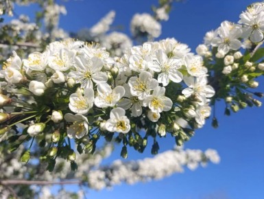 ������ ����, ������ � ����� ����������� ������!