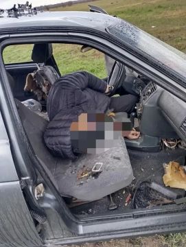 ������ �������: 21+. � ����������� ������ ��� ������ ������ ������ ������