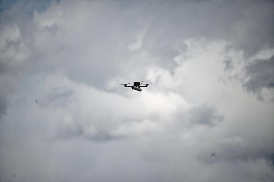 ��� ������������ ���������� ���������� ������� �� �������� ��������