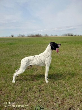 ���� �� ������: ������� �� �������� ���� ��������� �������� ����������