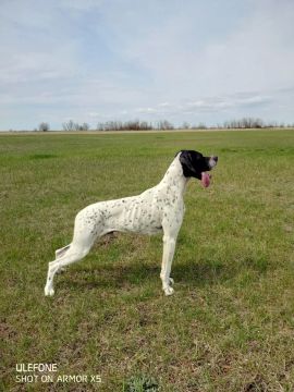 ���� �� ������: ������� �� �������� ���� ��������� �������� ����������