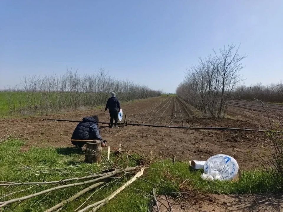 � ���� ��������� ������������� ������ ���������� ������� ��������� ���������� ������� ���������� ������