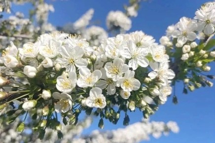 ����� ������ ����� � ���������� ������� 28 ������ 2026 ����