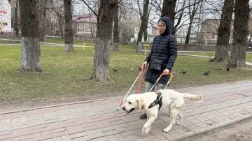 � ������������� ���� �����-��������� ������� ��������� �� ����� ������� ������� ������ ������!