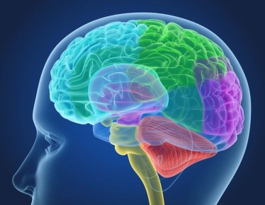 ������� ��� ������� ���� ������� �����������