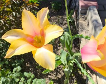 ������� ������ � ����������� ������������� ������ �� �����, 29 ������