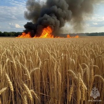 �� ���� ������������. ��� ������ ����������, ��� �� ��������� ���������� �������� ������������ ������������� ���������������� ��������������� � ������������ �� ��. 20.4 ������� ���������� ��������� �� ����������������...