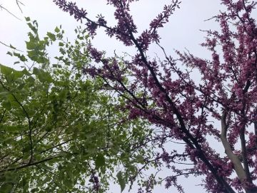 ������ ����, ������ � ����� ����������� ������!