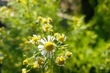 �������� ����� ����� ����: ����� ������ ����� � ���������� ������� 30 ������ 2026 ����