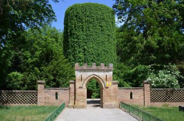 � �������-���� ����������� ������������� ����� 2026 ����