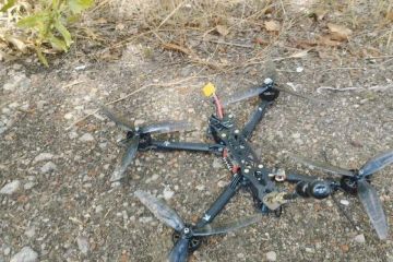 ���� ��� ������ ���� � ���������� ������� ������� ��������