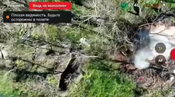 ����������� �����������.. ��������� ������� ������ � ������������ 4-� ������� ���� 58 ����� ���� ������ ������ � ������� ��� � ������ ��.����������