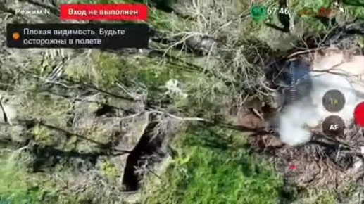 ����������� �����������.. ��������� ������� ������ � ������������ 4-� ������� ���� 58 ����� ���� ������ ������ � ������� ��� � ������ ��.����������