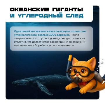 ��� ����� ����, � ������� �� ���� �� ������������