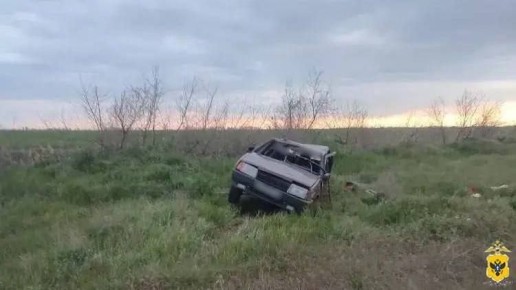������ ��� � ���������� ������� �� 1�2 ���: ������ ��������, ������������ ���� � ��������