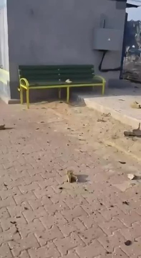 �������. ������ � ������ �������� ����