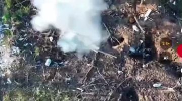 ����������� �����. ������� FPV � ���������� �������� ������ ������ � ������� ��������� � ������ �.�. ����������