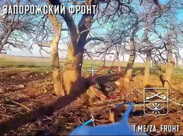 ����� ������ ������ ���������� ���� �� �� �� ����������� ���������� � ������� �� ����������� �����������
