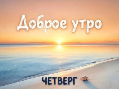 ������ ����, �����!. ������� �������, 7 ���