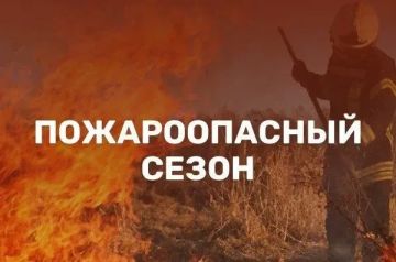 ������� �� �������� ������������ � ������ �������� �������������� �������