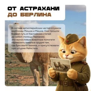 ������� �� ������: ����� � ������� ������