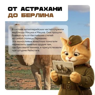 ������� �� ������: ����� � ������� ������