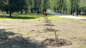 � ��������� �� ��� ������ �������� ����� �����