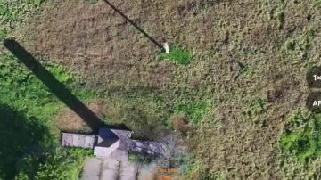 ����� ����������� "�����" ������� ������ �������� ������ ������� ������������� ����� � ������� ������� �� ������������ ����������