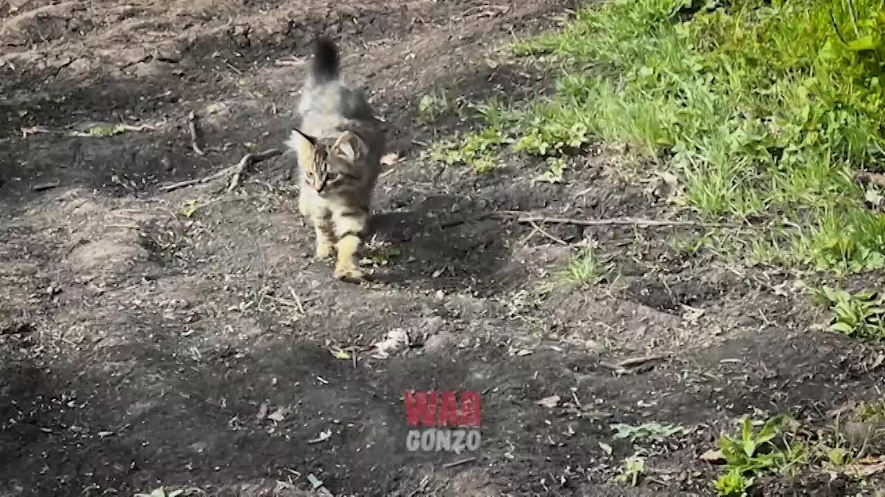 WarGonzo: Спецрепортаж WG Под ударом: «Гвоздика» разносит вражьи гнезда БПЛА