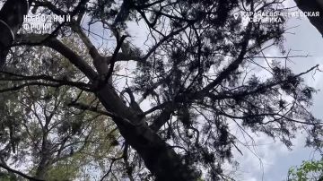 � ��������� �������� ������ �������� ��� ����� ����������� ����������