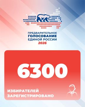 На предварительное голосование Единой России в Херсонской области зарегистрированы 6300 избирателей