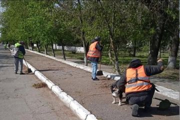 «Их нельзя было принять за кого-то иного, кроме как дворников»: боевики ВСУ знали, по кому били при атаке на коммунальщиков